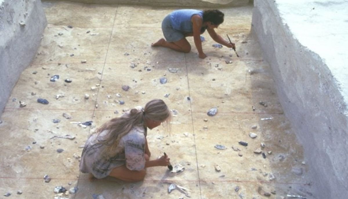 Un marteau en os d'éléphant vieux de 500 000 ans découvert en Angleterre révolutionne la préhistoire européenne