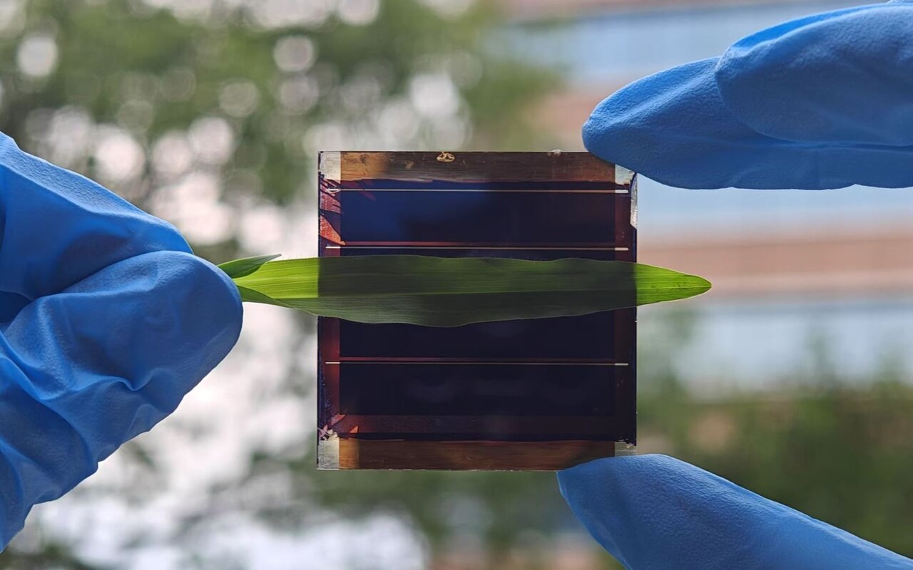 97 % de rendement après 2 000 heures de stress-test, même à l’ombre : ces cellules solaires redéfinissent ce qu’on croyait possible en conditions réelles