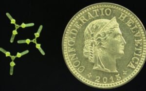 Ni moteur ni batterie, juste du son : les micro-robots de l’EPFL exploitent la résonance de Helmholtz, un phénomène acoustique vieux de deux siècles