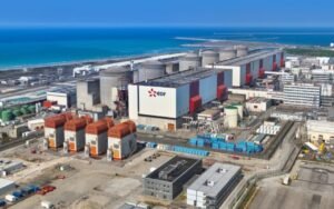Une invasion de méduses a mis hors service trois réacteurs à Gravelines et effacé 3,2 GW du réseau électrique français