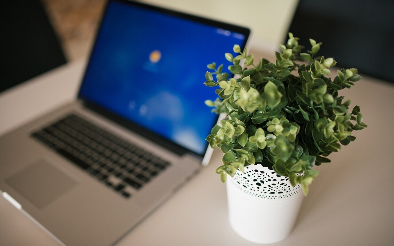 Laptop sur un bureau blanc avec une plante en pot dans un espace de travail moderne