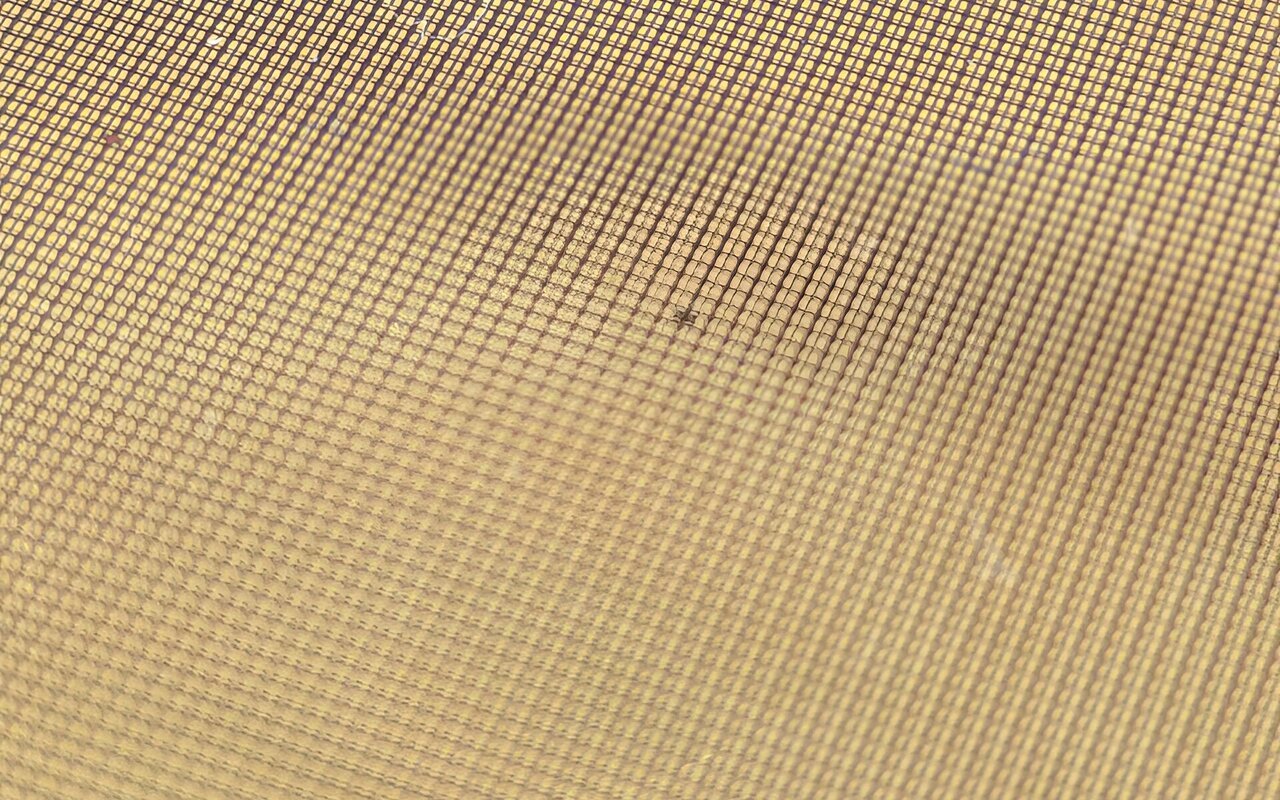 Wafer de micro-puces avec plusieurs circuits intégrés visibles en vue de dessus