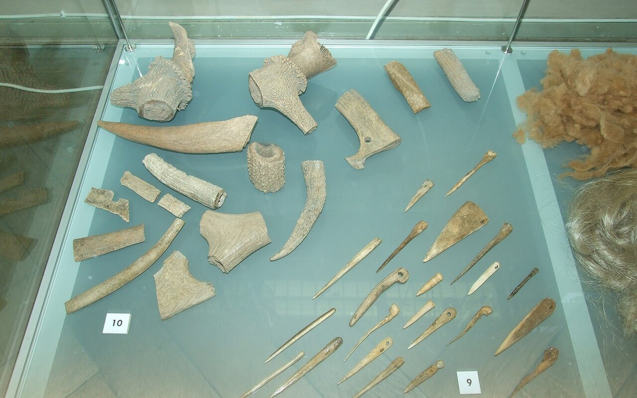 Collection d'artefacts en os de la Préhistoire exposée au Musée national de Prague, démontrant le travail de l'os et du bois