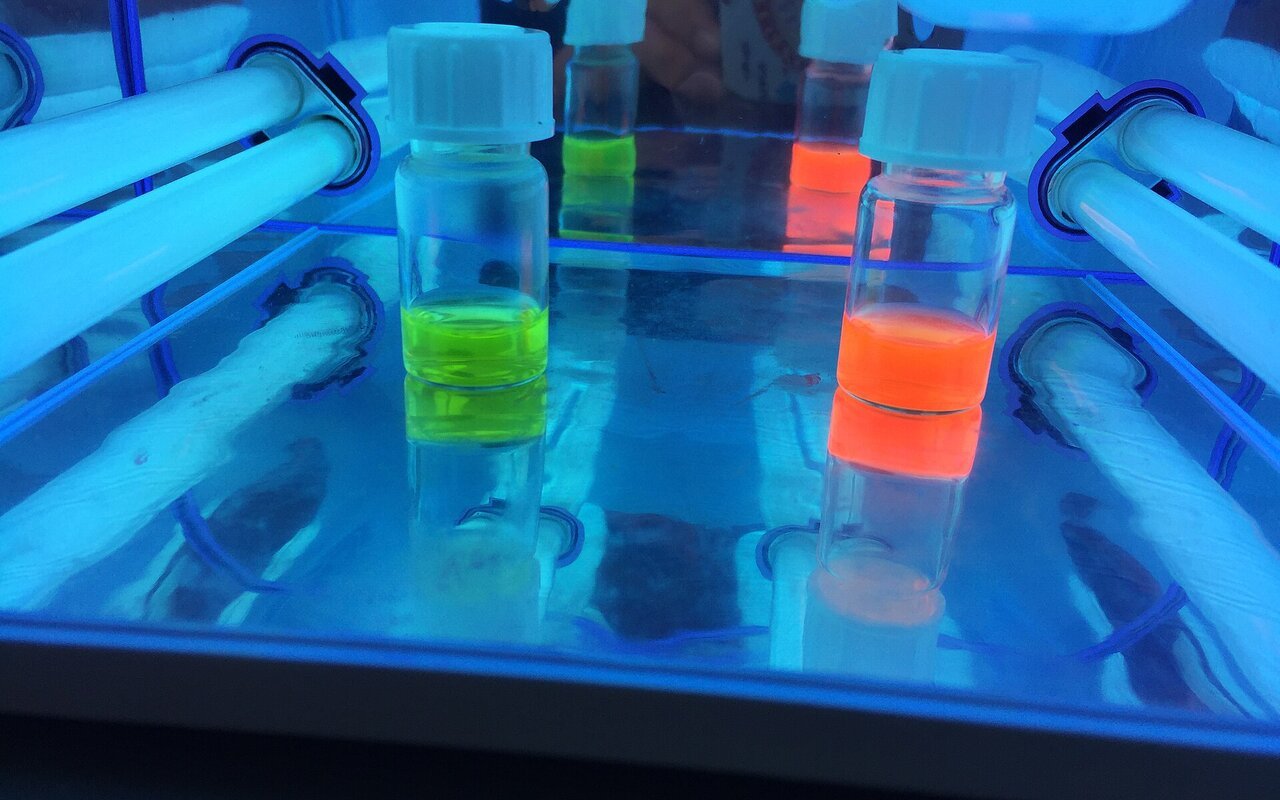 Points quantiques CdTe émettant de la lumière sous rayonnement UV
