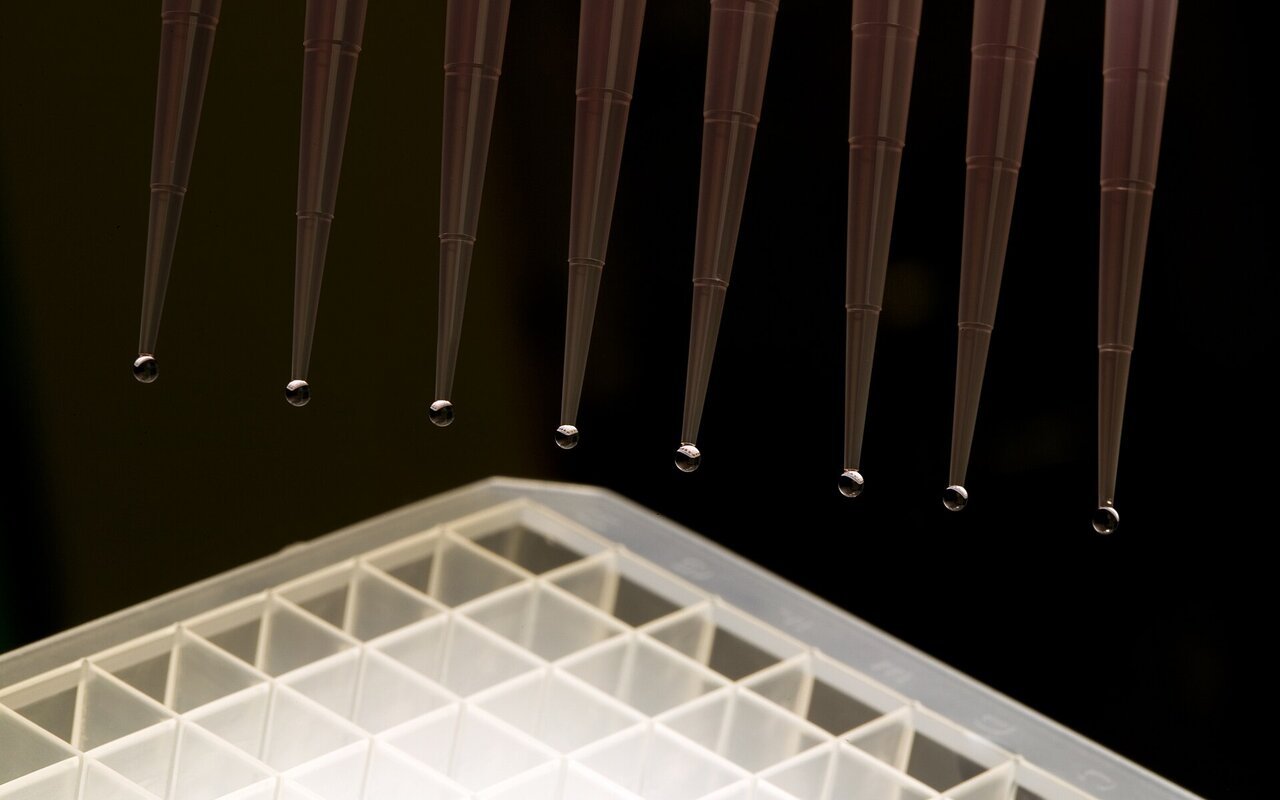 Pipette multi-canaux versant du liquide dans une plaque de microtitration en laboratoire.