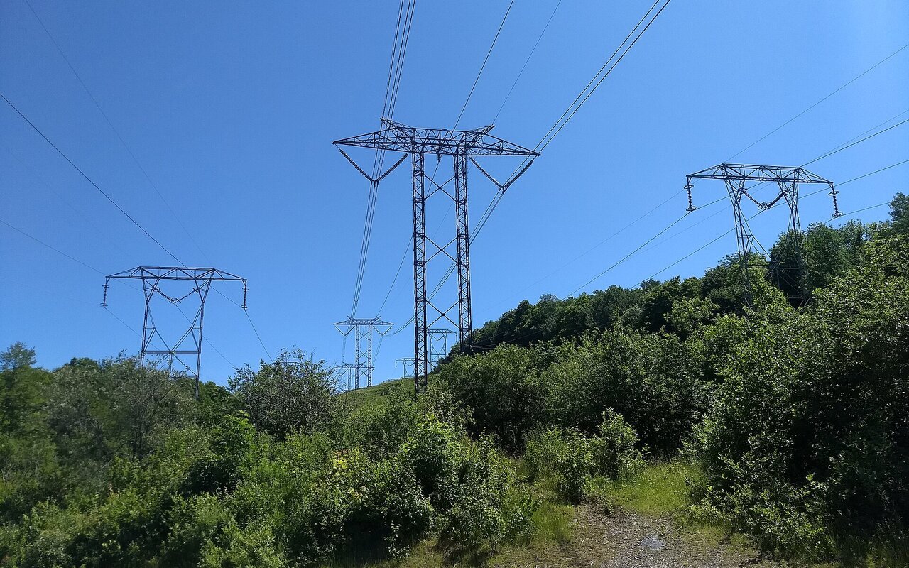 Pylônes d'une ligne électrique à haute tension traversant une zone boisée sous un ciel dégagé