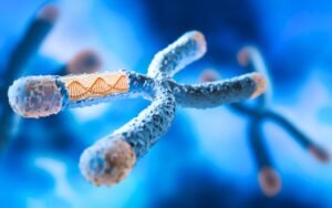 Cette modification génétique transforme des souris femelles en mâles selon Nature : une découverte qui bouleverse notre compréhension