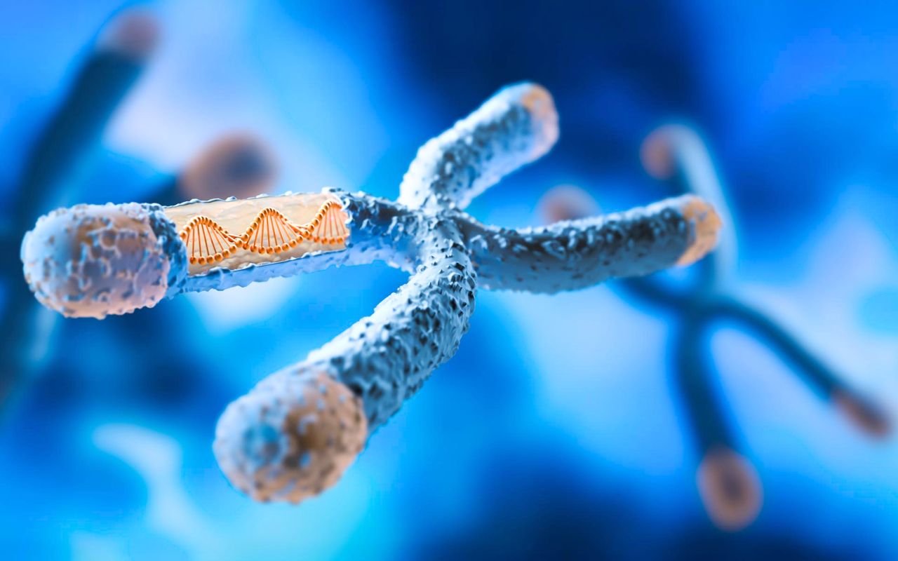 Cette modification génétique transforme des souris femelles en mâles selon Nature : une découverte qui bouleverse notre compréhension du sexe
